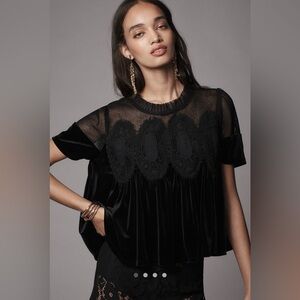 NWT En Elly Velvet Scallop Top, Size 1X